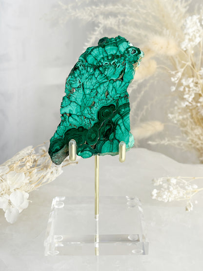 MALACHITE SLICE AUSTRALIA