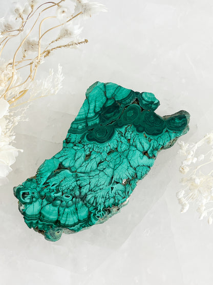 MALACHITE SLICE || 32220