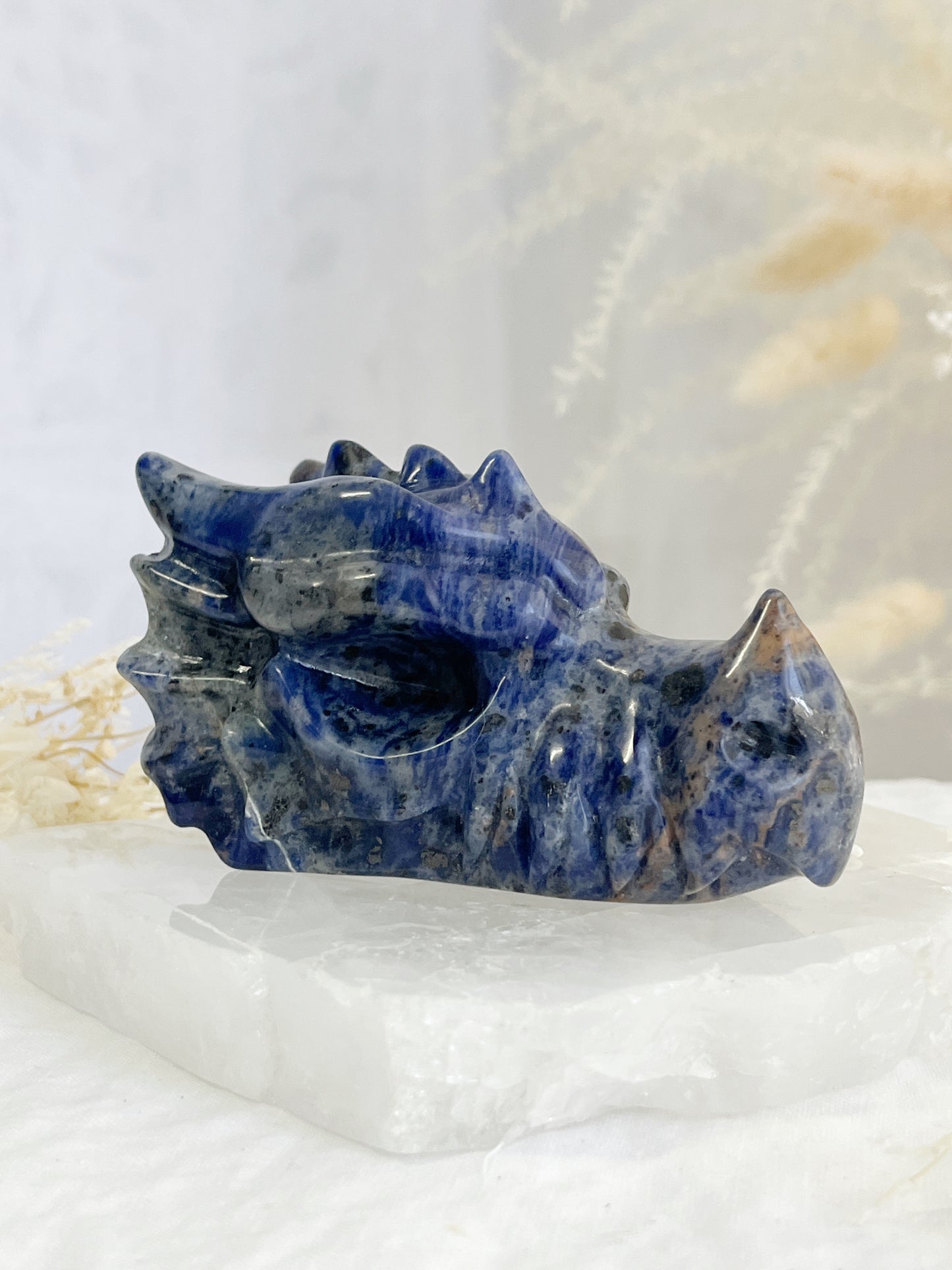 sodalite dragon head carving, stoned and saged crystal shop Australia