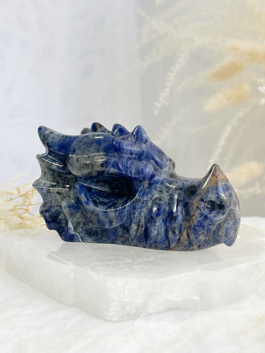 sodalite dragon head carving, stoned and saged crystal shop Australia