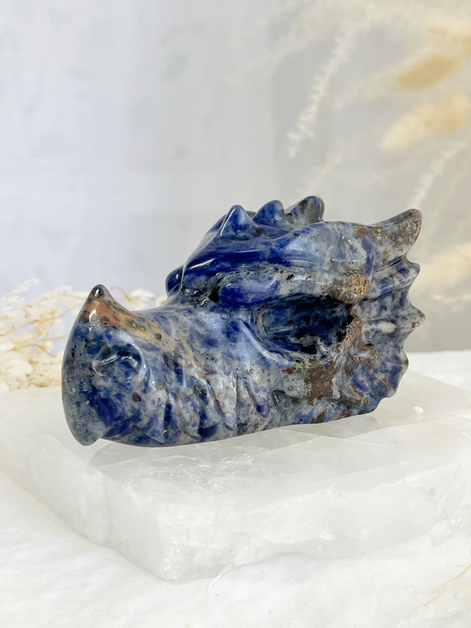sodalite dragon head carving, stoned and saged crystal shop Australia