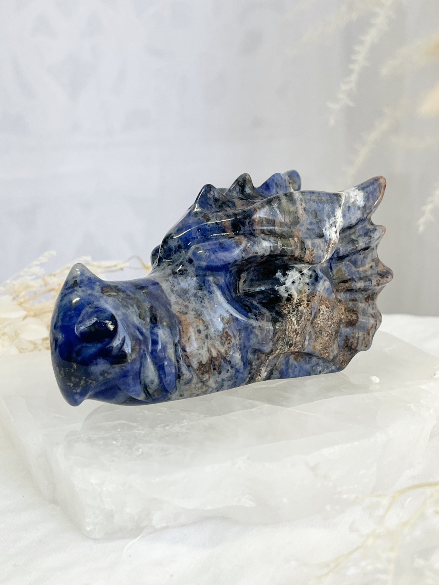 sodalite dragon head carving, stoned and saged crystal shop Australia