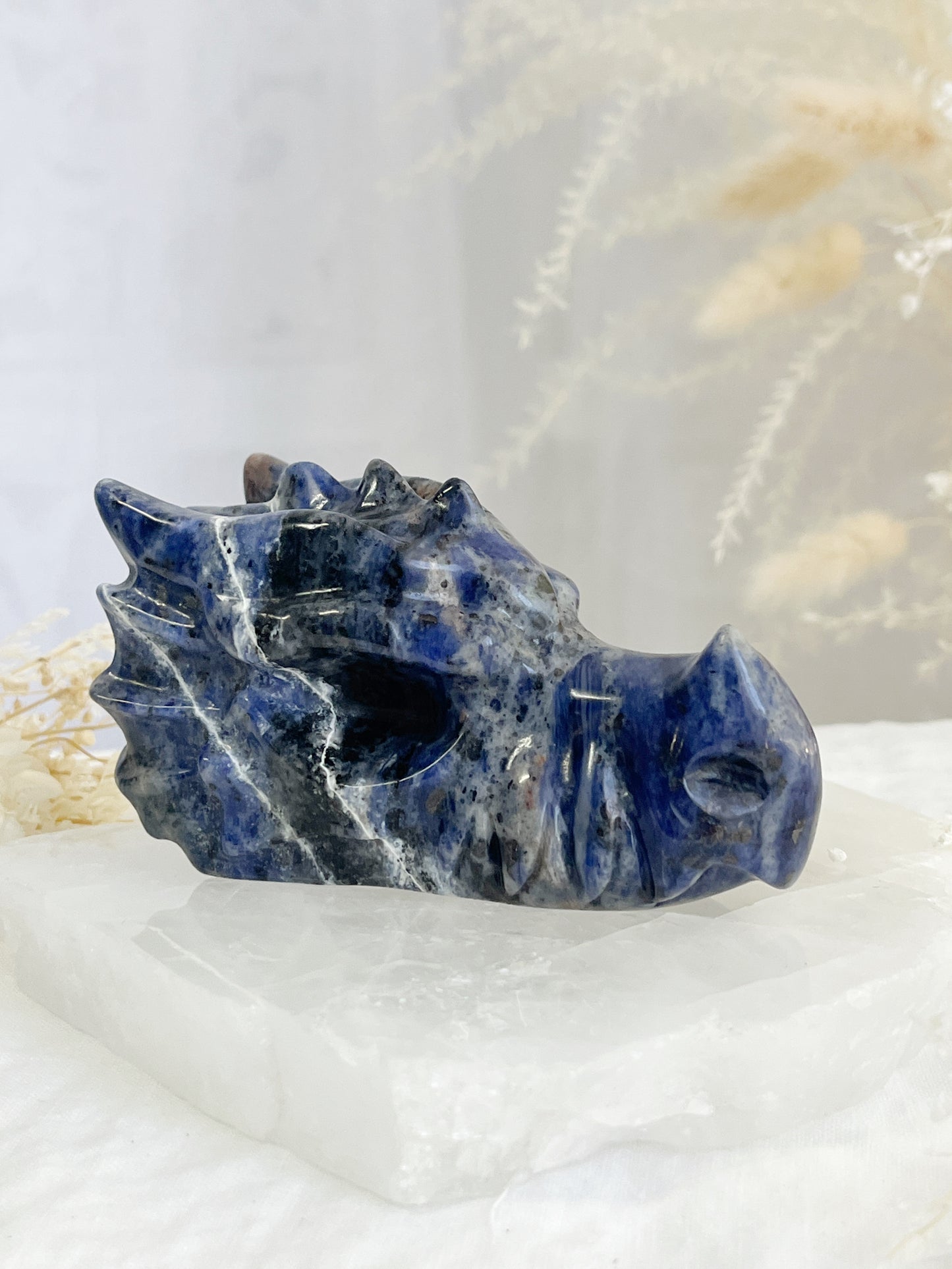 sodalite dragon head carving, stoned and saged crystal shop Australia