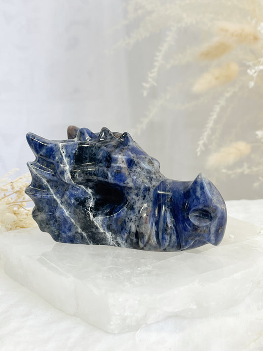 sodalite dragon head carving, stoned and saged crystal shop Australia
