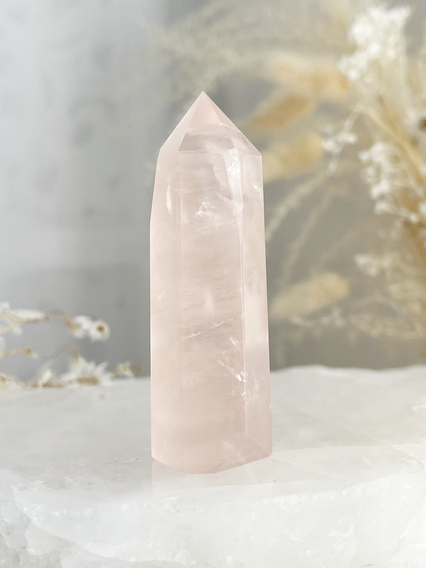 ROSE QUARTZ GENERATOR || 33083