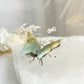 AMAZONITE BUTTERFLY MINI || 33061