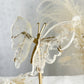 CLEAR QUARTZ BUTTERFLY WINGS || 33103 || GOLDEN HEALER INCLUSIONS