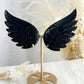 Black Obsidian angel wings on gold stand, Soned and Saged crystal shop Australia
