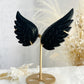 BLACK OBSIDIAN ANGEL WINGS || 33101