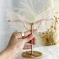 Rose Quartz angel wings on gold stand, Stoned and Saged crystal shop Australia