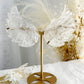 Clear Quartz angel wings on gold stand, Stoned and Saged crystal shop Australia