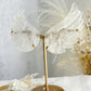 CLEAR QUARTZ ANGEL WINGS || 33102