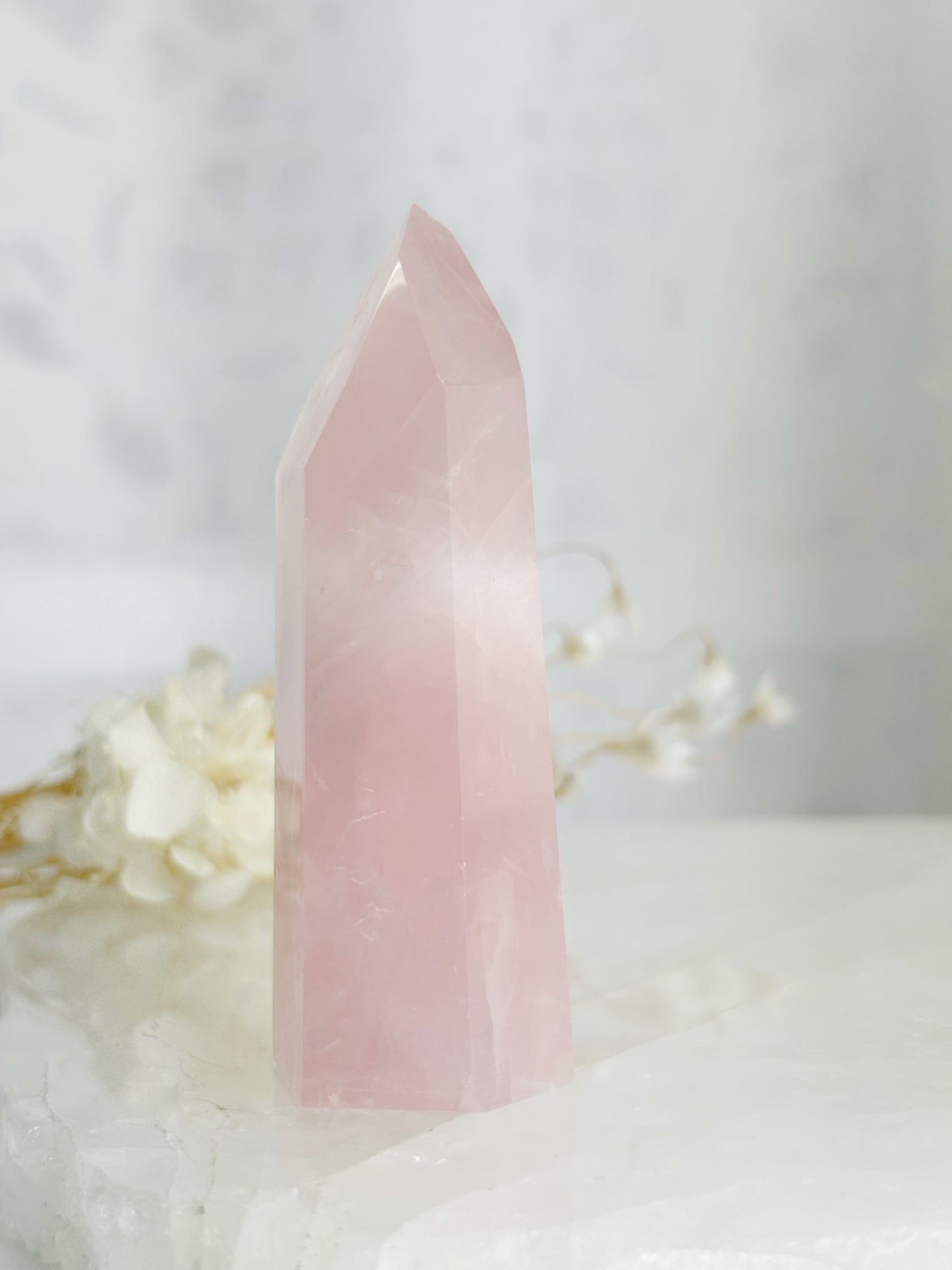 ROSE QUARTZ GENERATOR || 33126