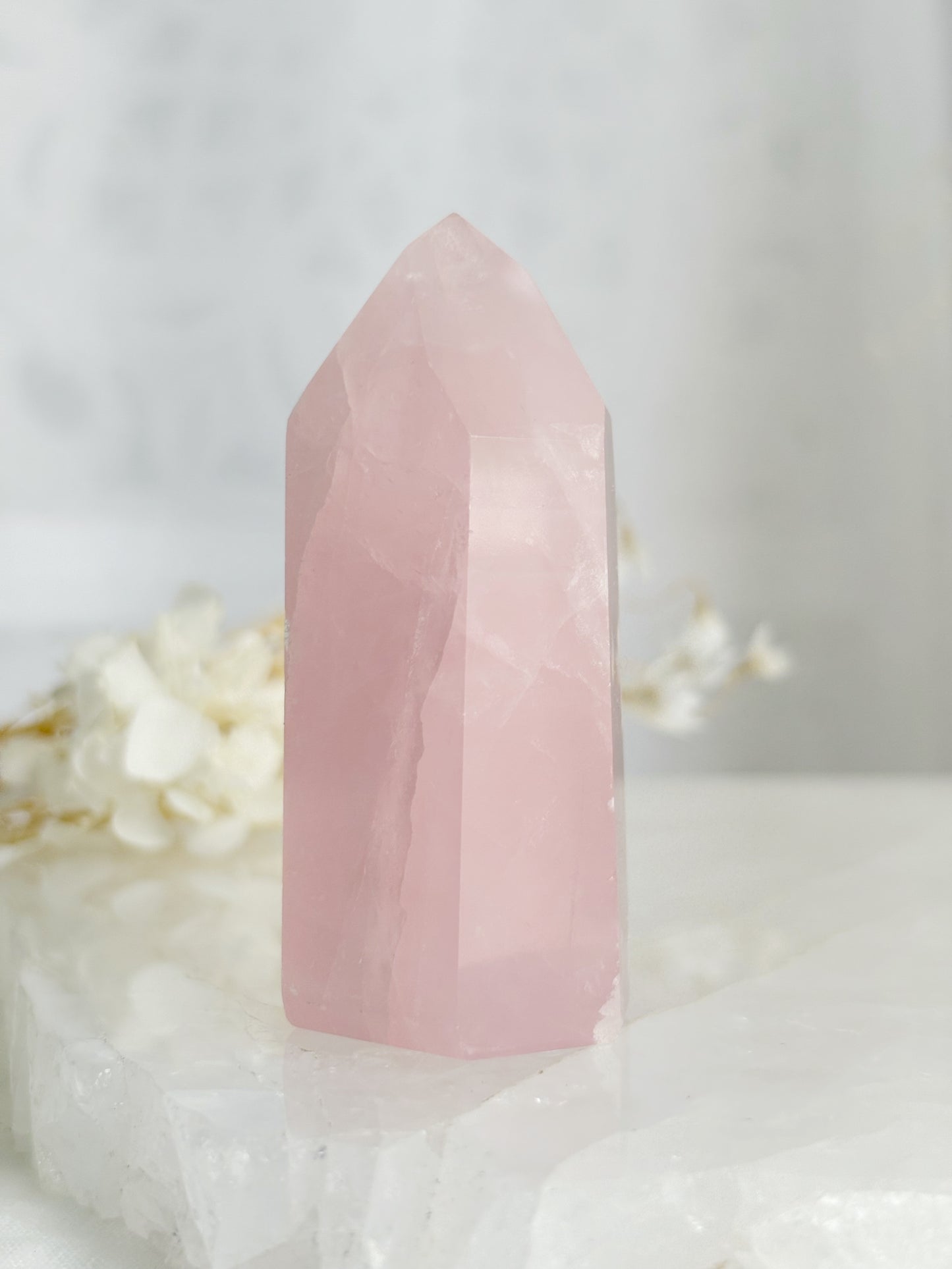 ROSE QUARTZ GENERATOR || 33128