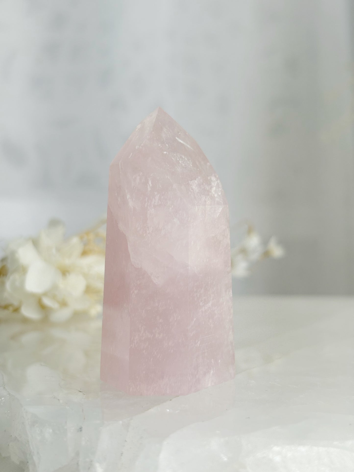 ROSE QUARTZ GENERATOR || 33130