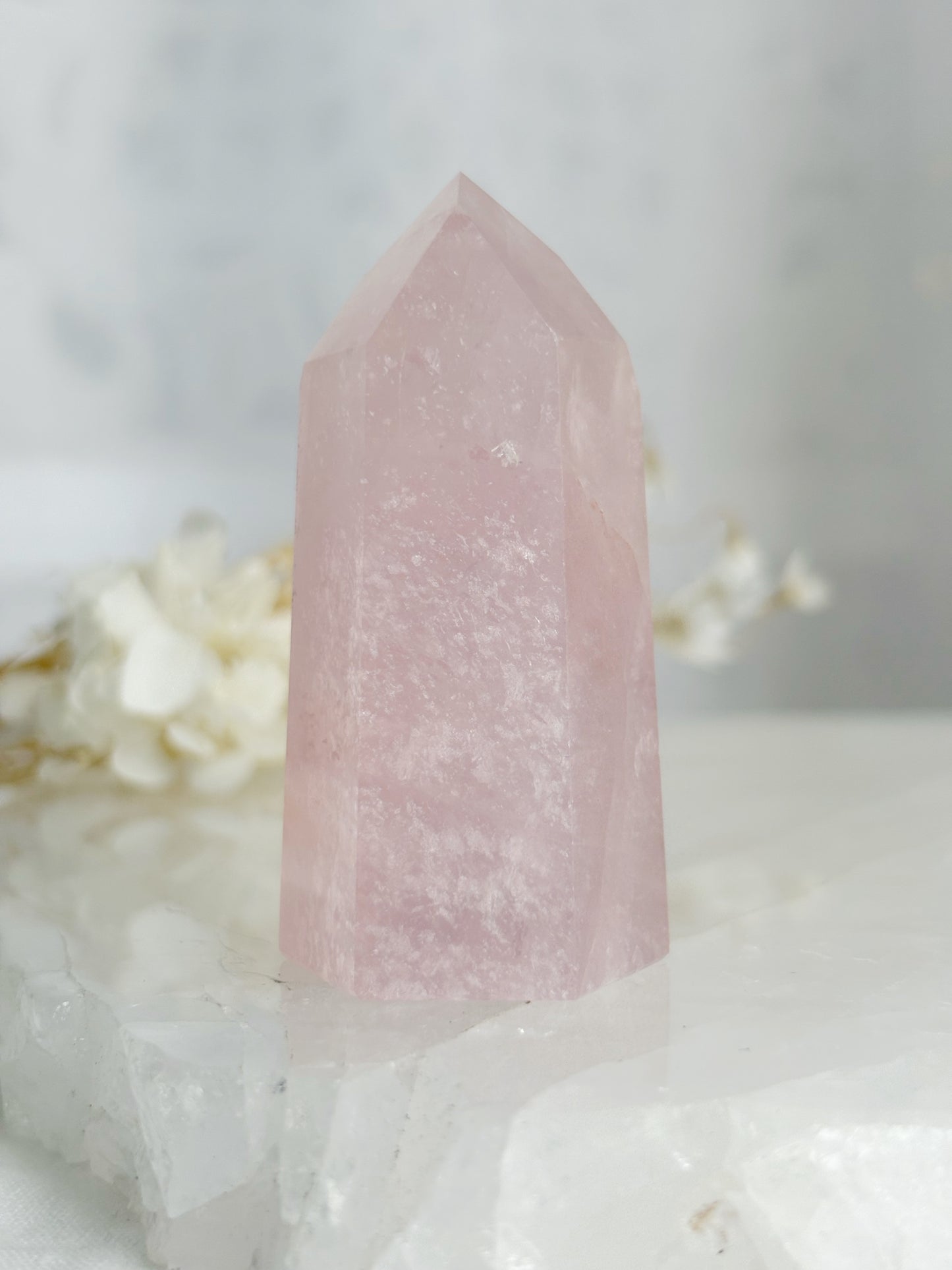 ROSE QUARTZ GENERATOR || 33130