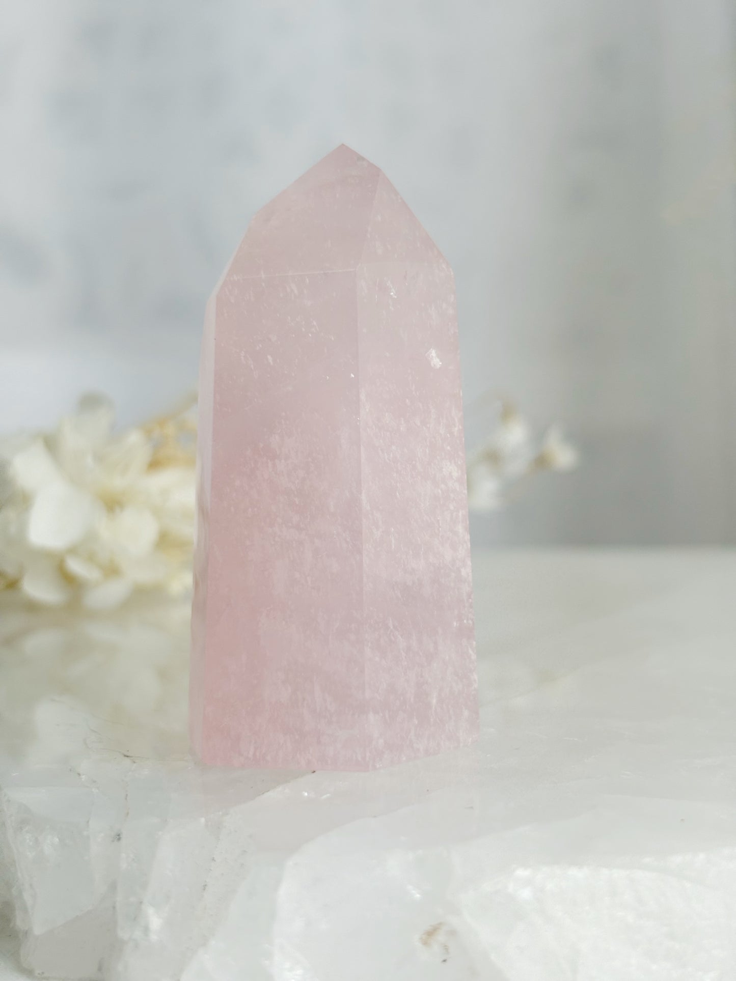 ROSE QUARTZ GENERATOR || 33130