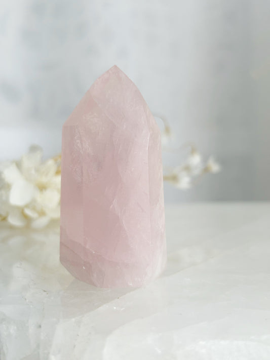 ROSE QUARTZ GENERATOR || 33131