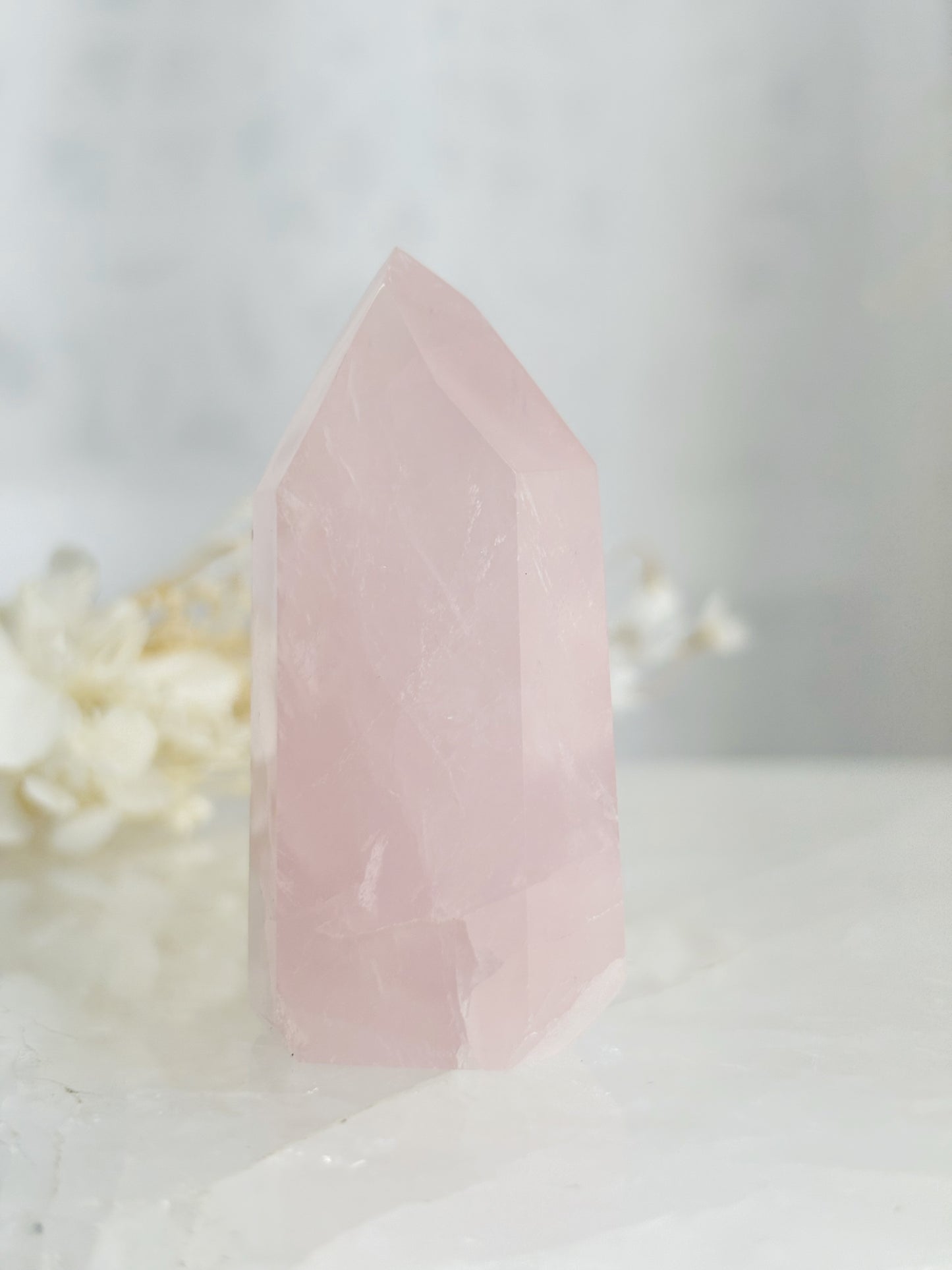 ROSE QUARTZ GENERATOR || 33131