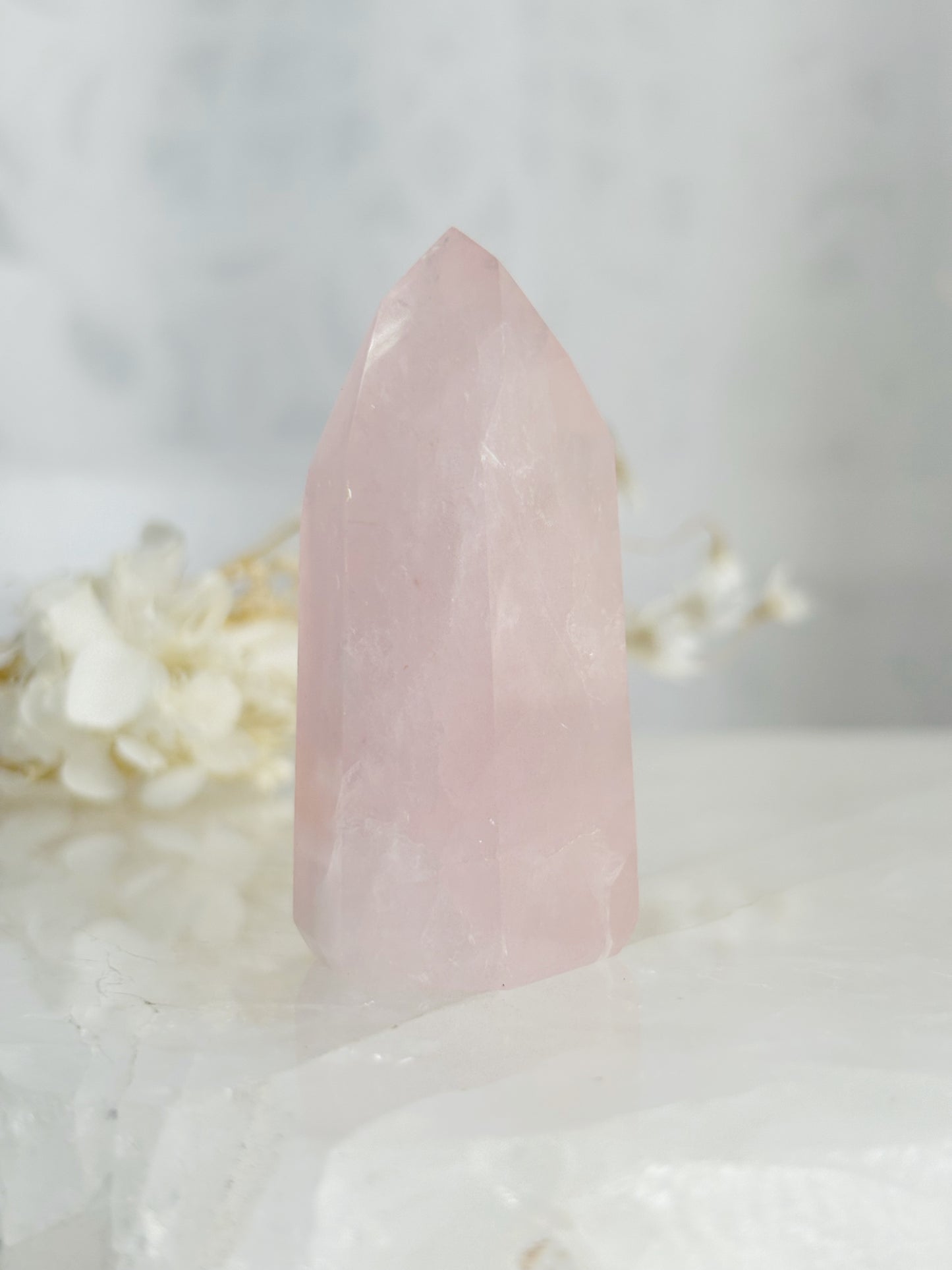 ROSE QUARTZ GENERATOR || 33131