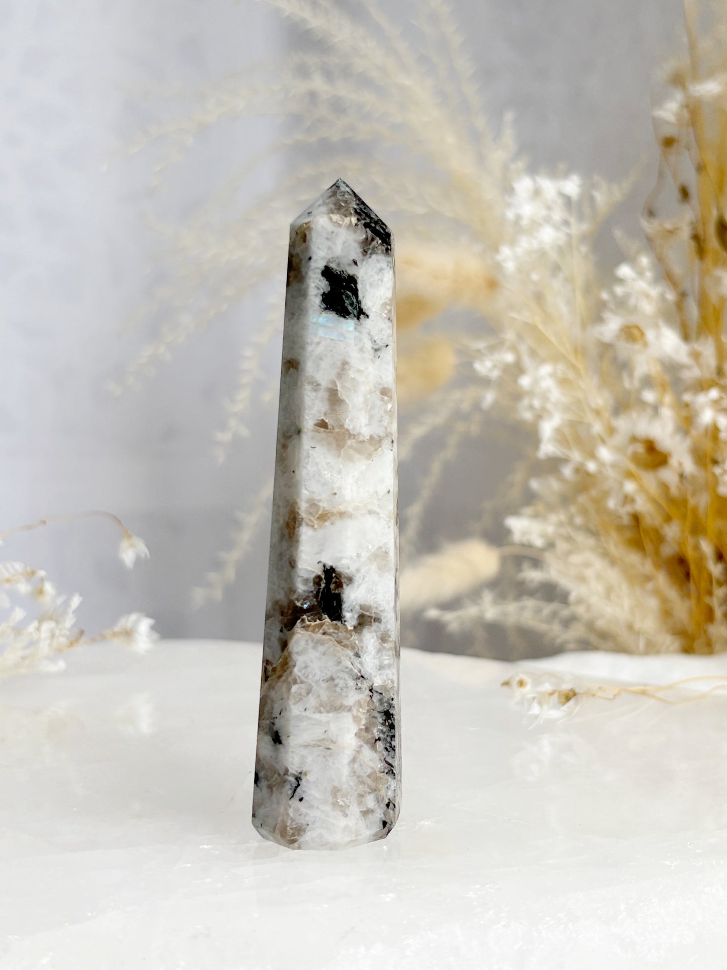 RAINBOW MOONSTONE GENERATOR || RMG02