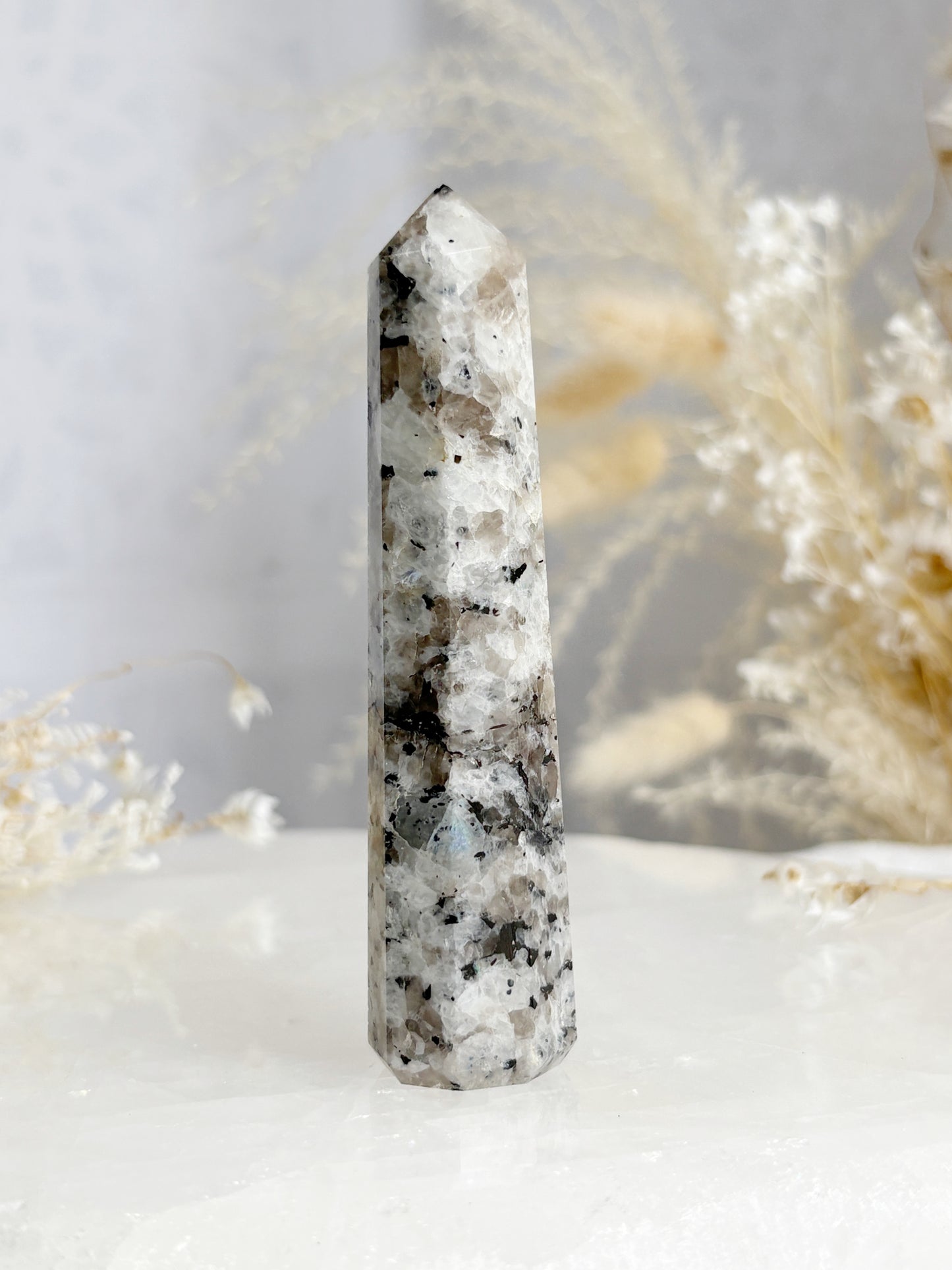 RAINBOW MOONSTONE GENERATOR || RMG04