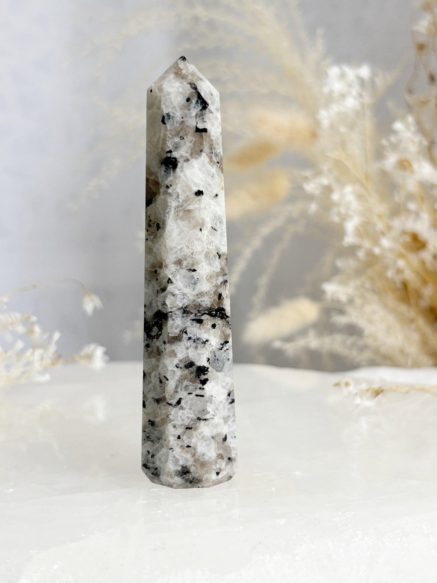 RAINBOW MOONSTONE GENERATOR || RMG04