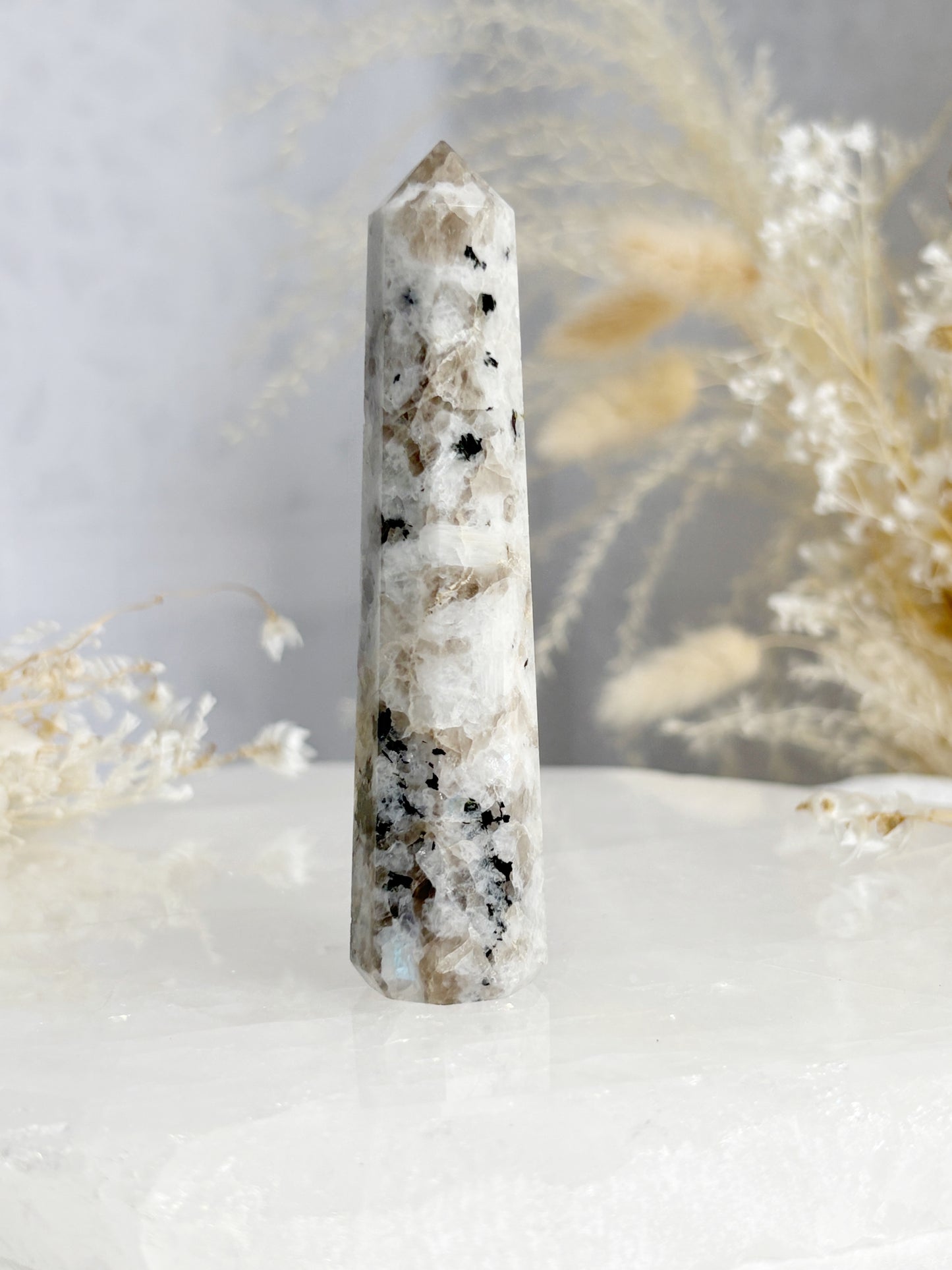 RAINBOW MOONSTONE GENERATOR || RMG05