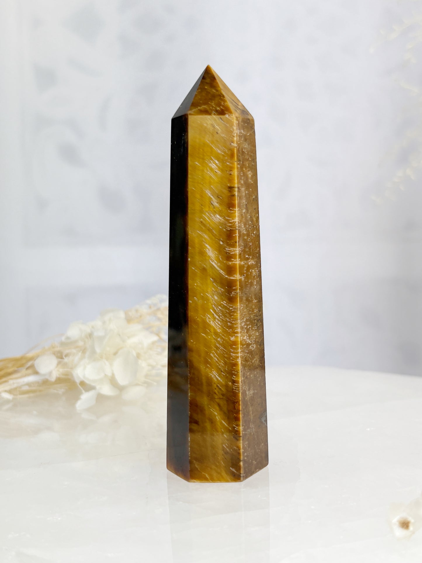 TIGERS EYE GENERATOR || TEG01