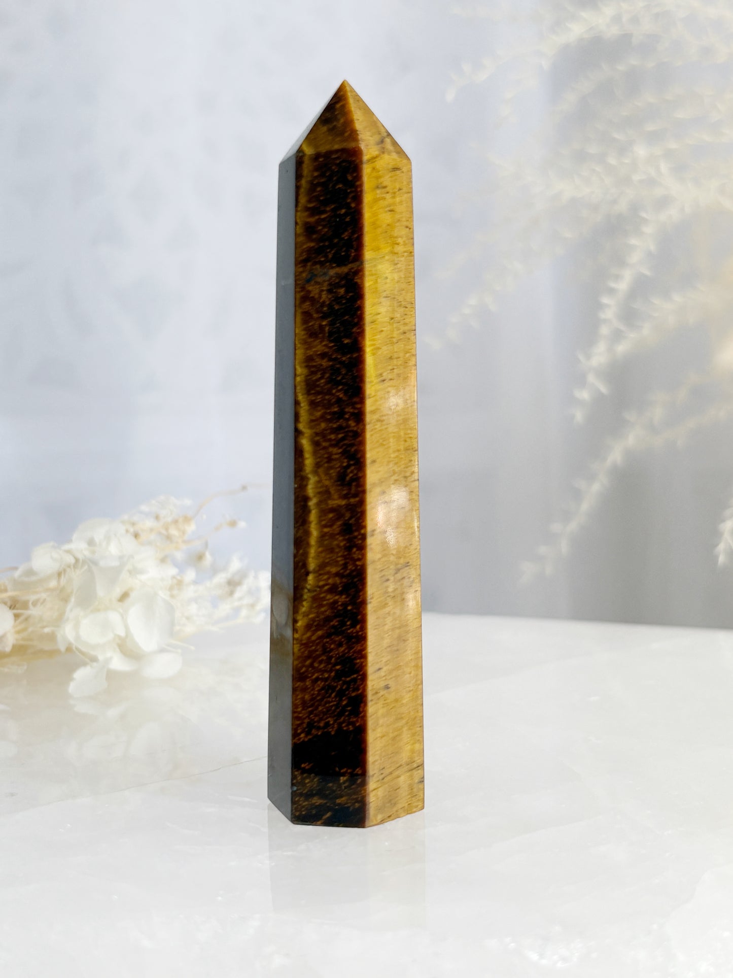 TIGERS EYE GENERATOR || TEG02