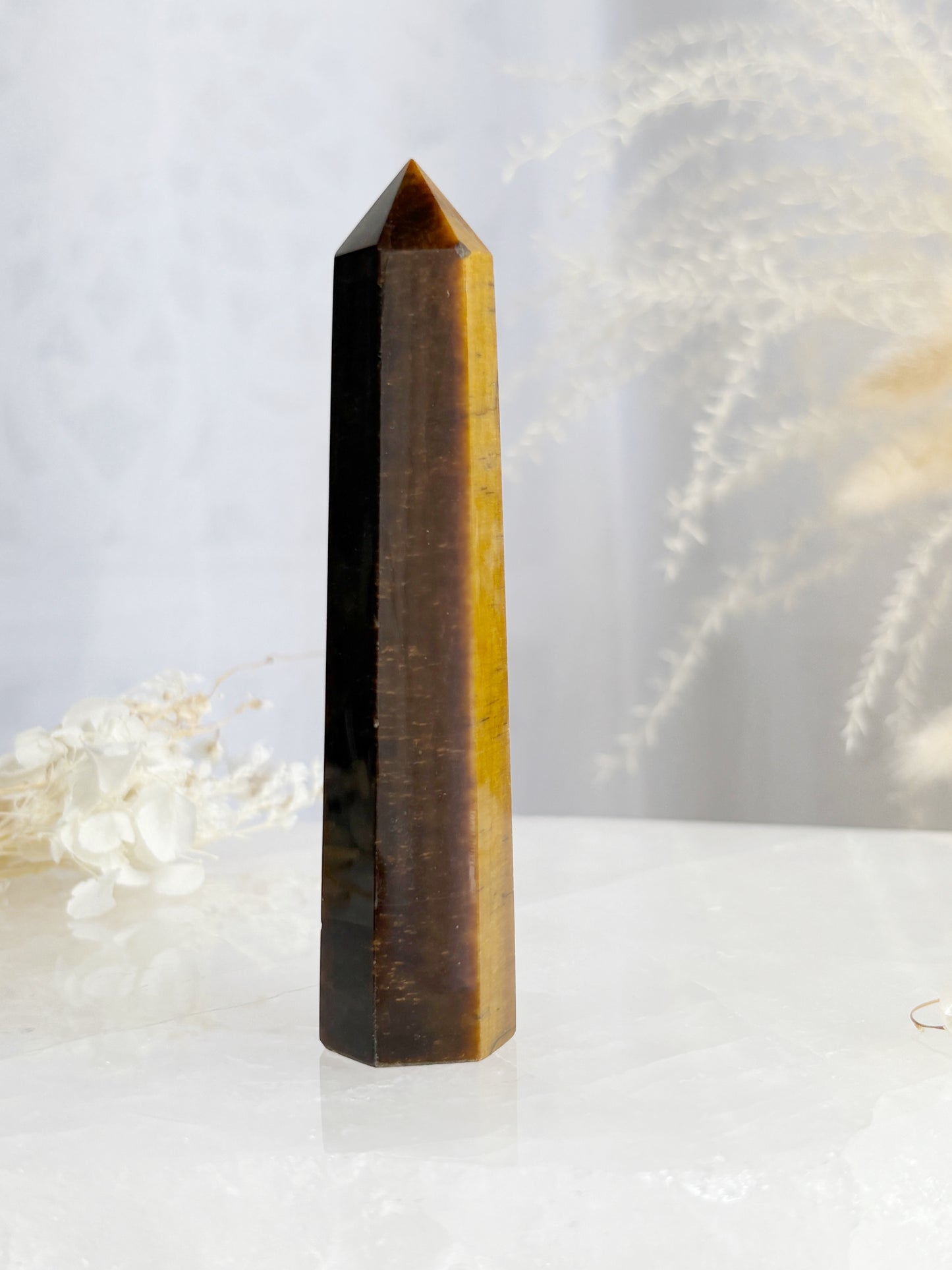 TIGERS EYE GENERATOR || TEG03