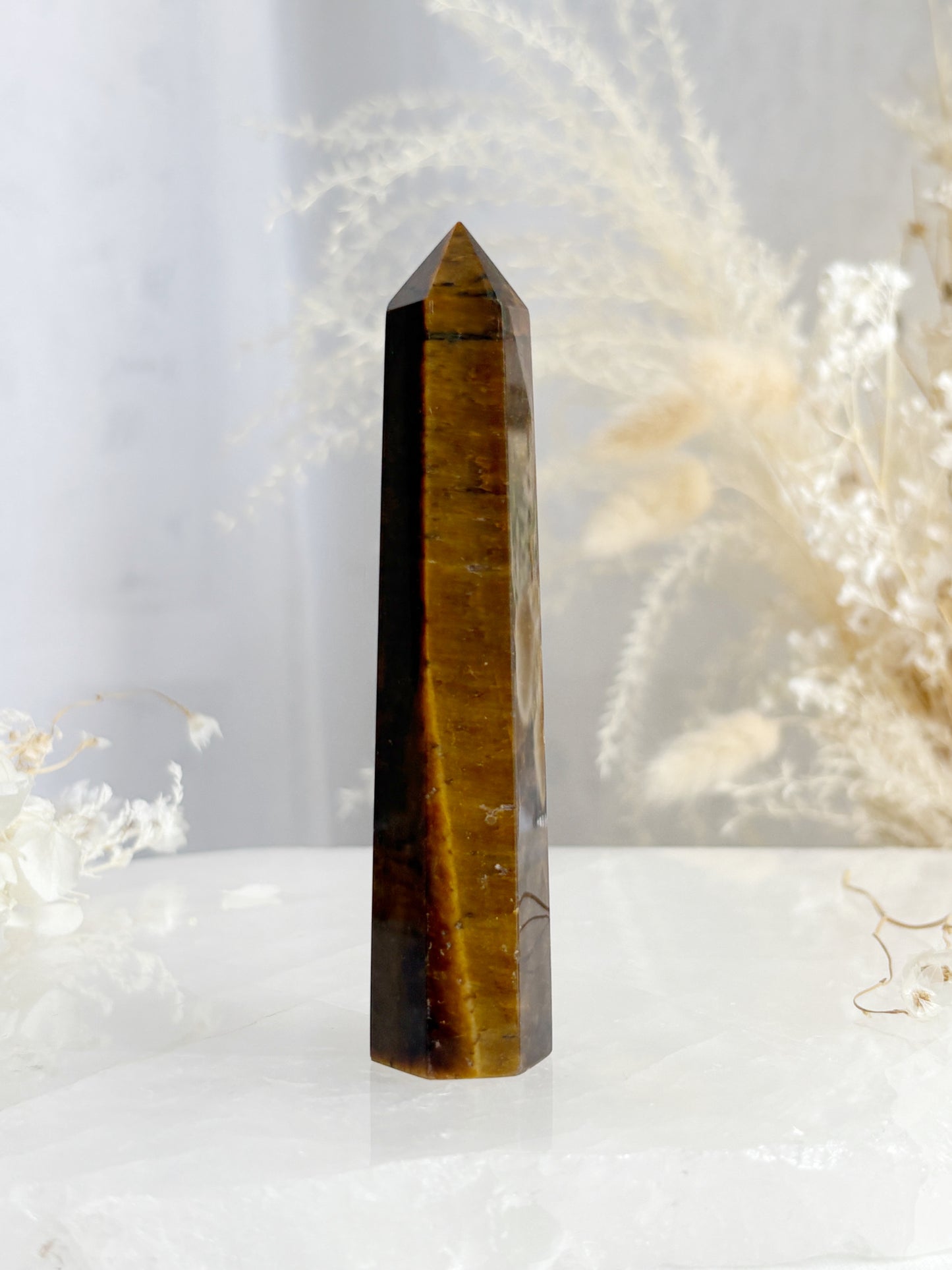 TIGERS EYE GENERATOR || TEG03