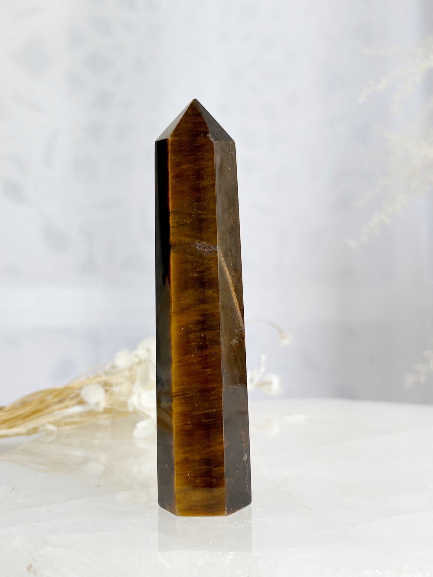 TIGERS EYE GENERATOR || TEG04