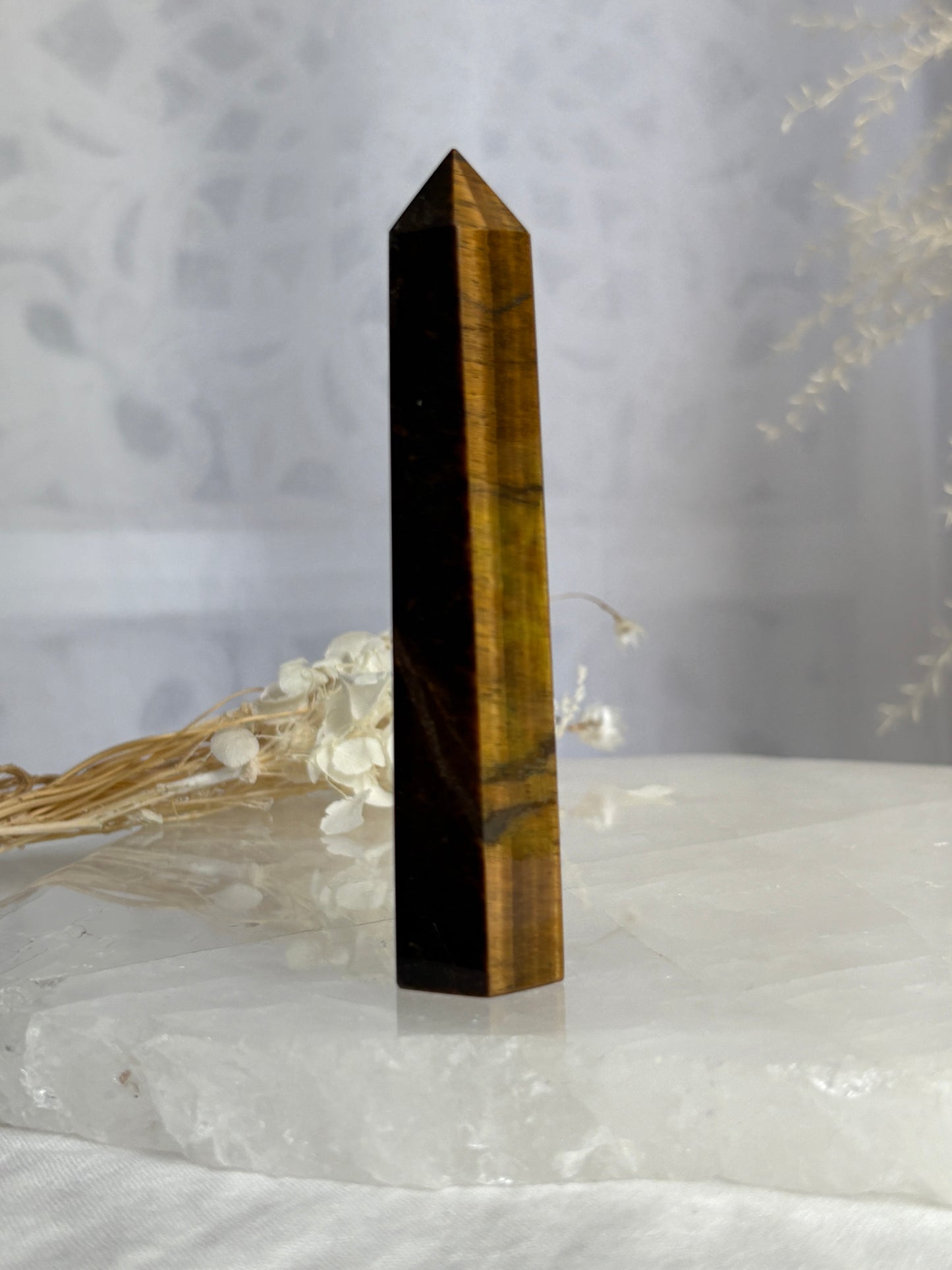 TIGERS EYE GENERATOR || TEG04