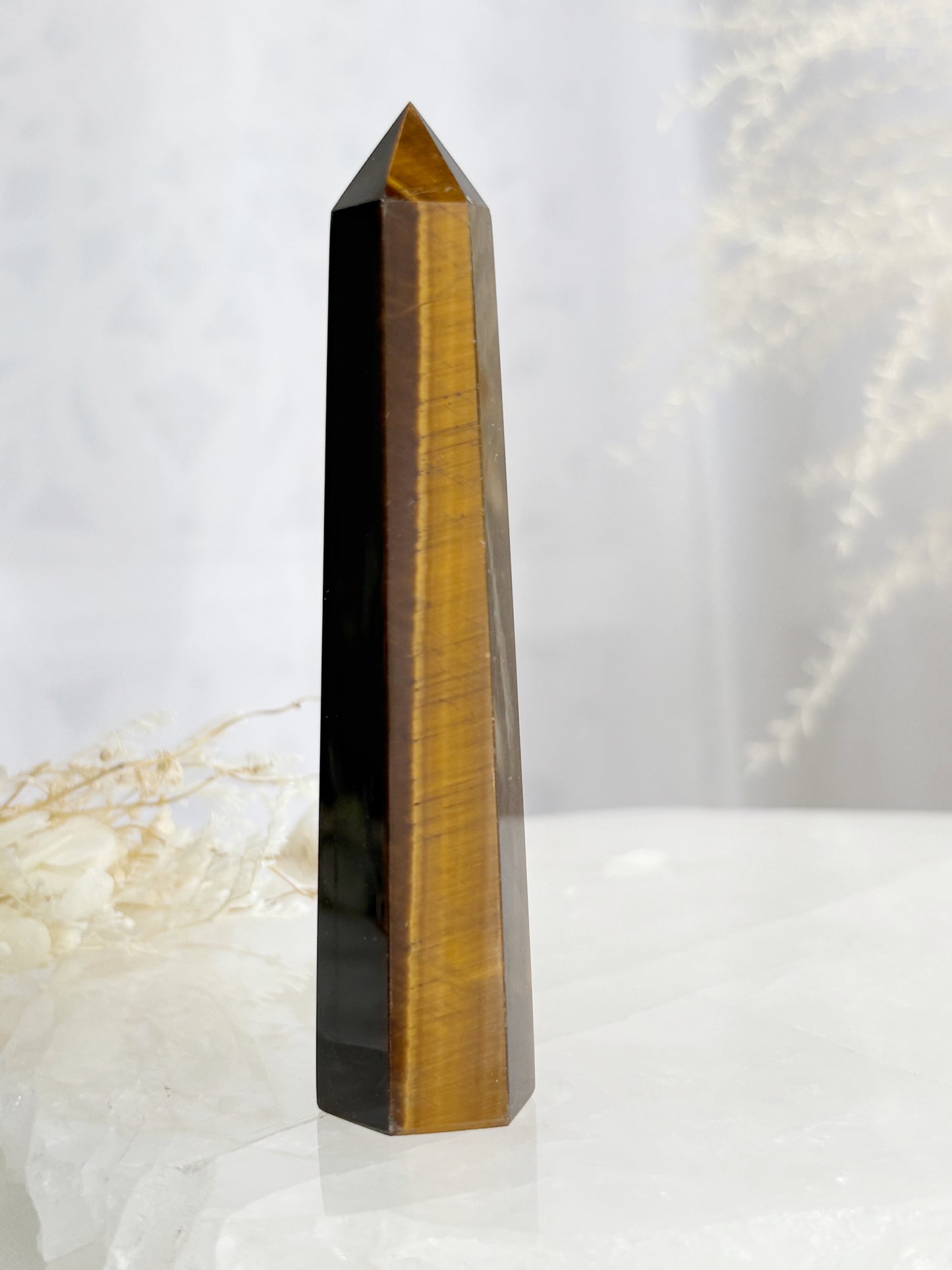 TIGERS EYE GENERATOR || TEG06