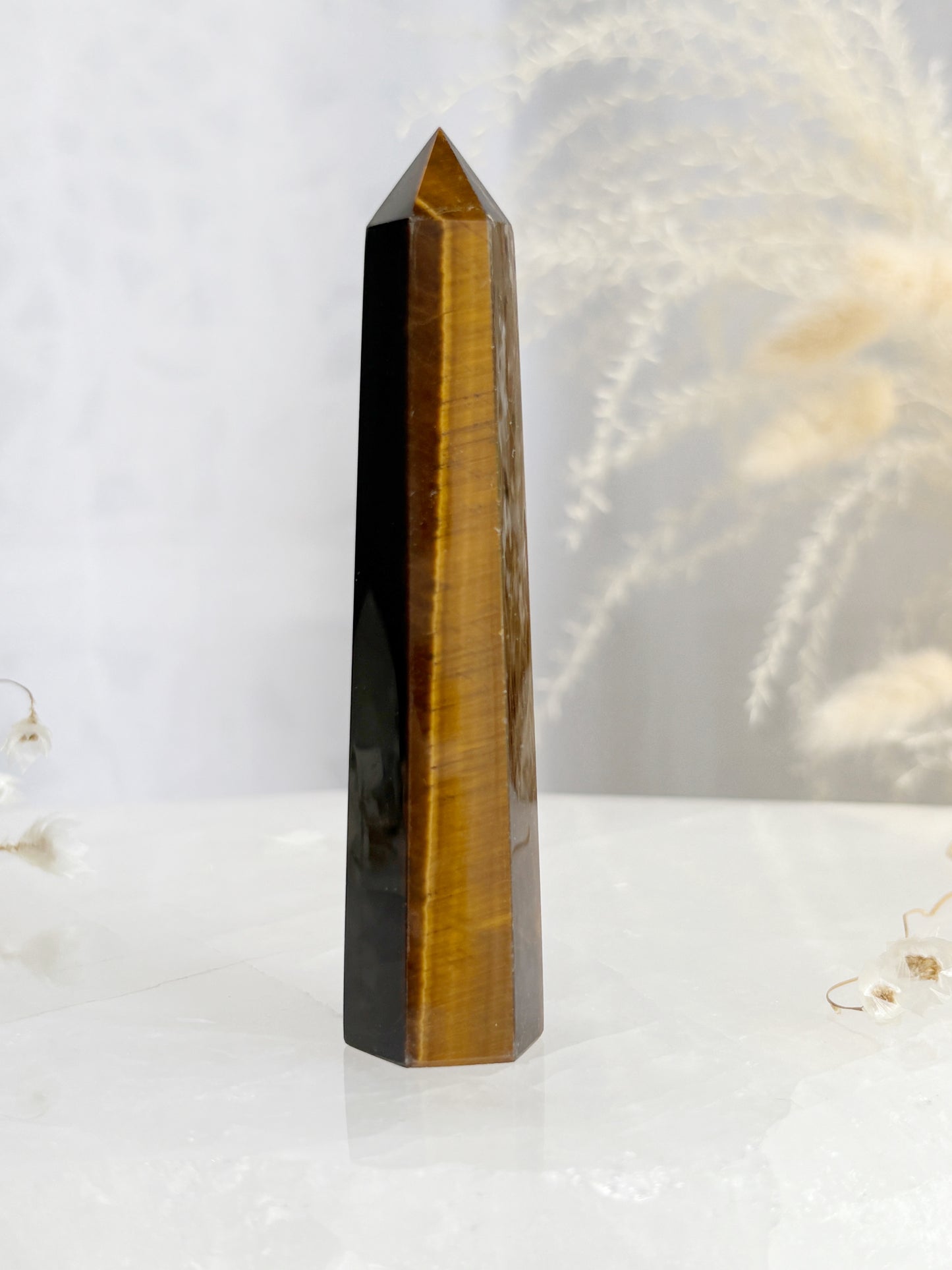 TIGERS EYE GENERATOR || TEG06