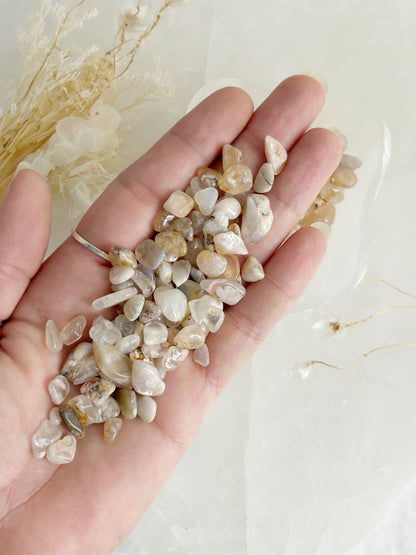 FLOWER AGATE CHIPS || 100G