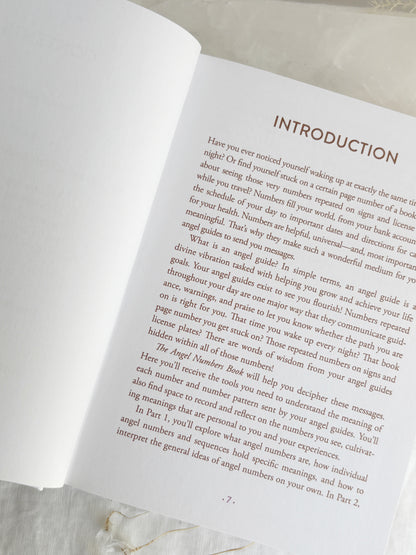THE ANGEL NUMBERS BOOK || MYSTIC MICHAELA