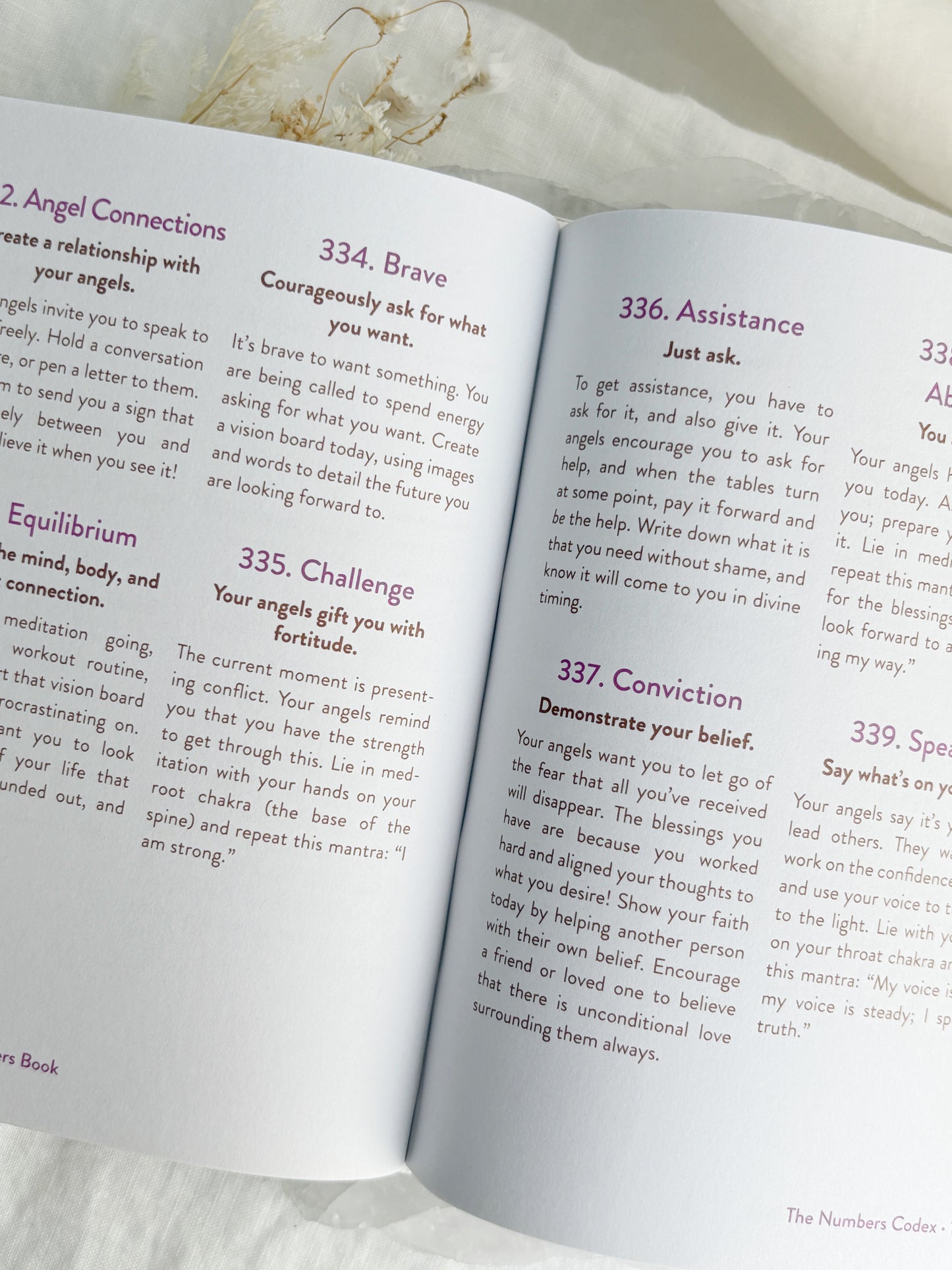THE ANGEL NUMBERS BOOK || MYSTIC MICHAELA
