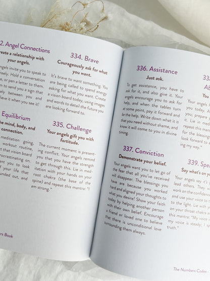 THE ANGEL NUMBERS BOOK || MYSTIC MICHAELA