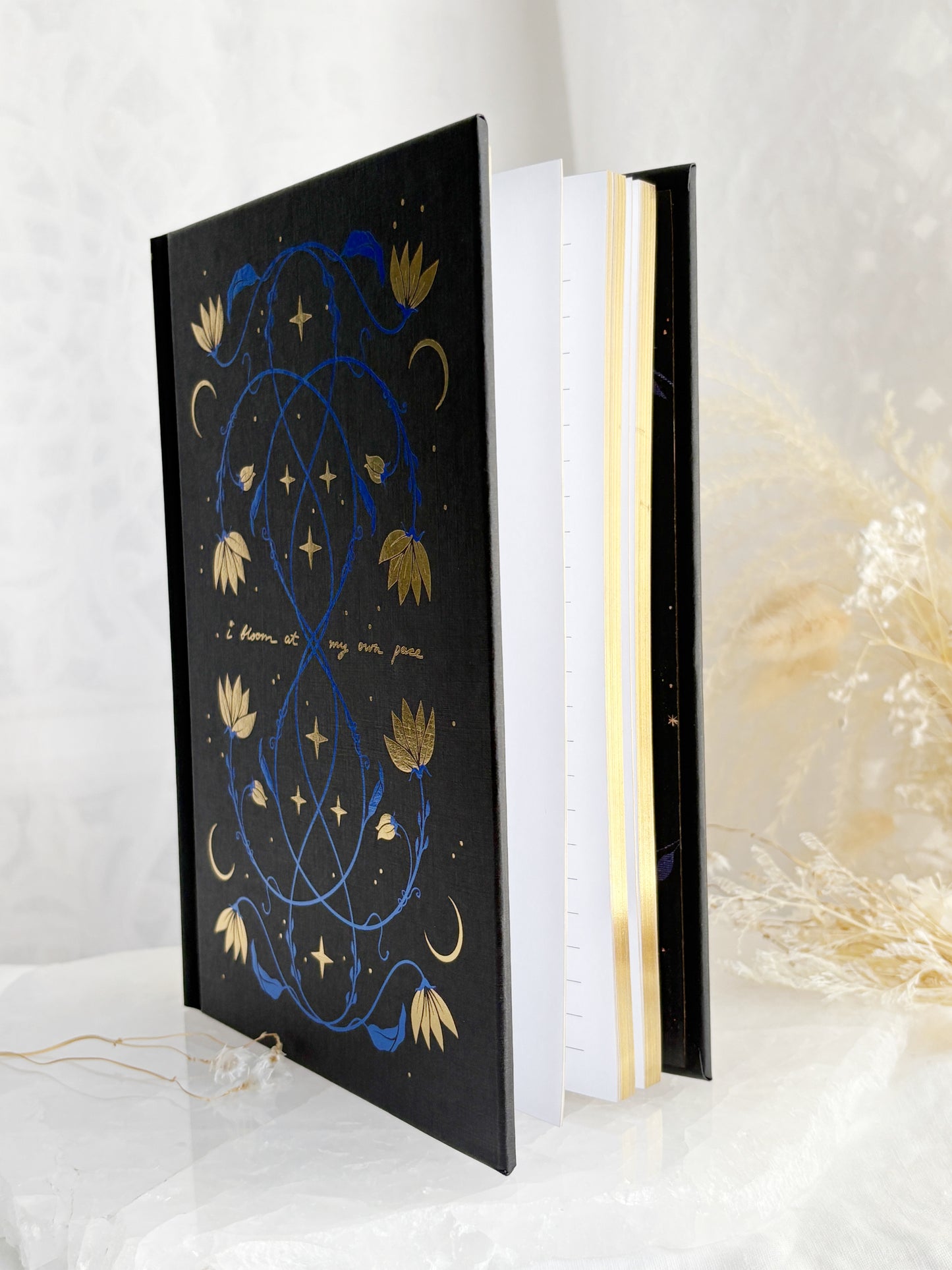 BLOOM JOURNAL || DREAMY MOONS