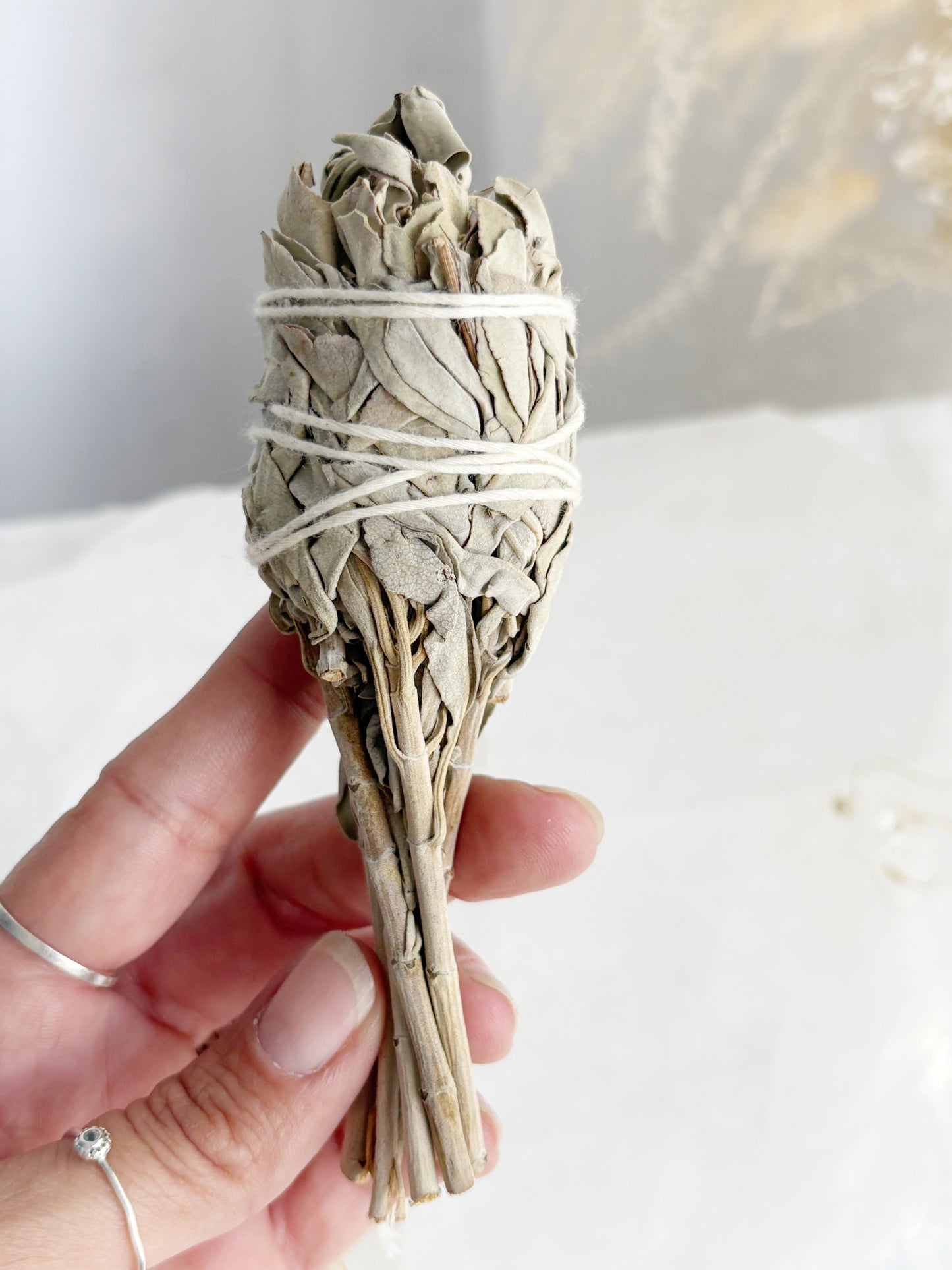 WHITE SAGE || SMUDGE STICK
