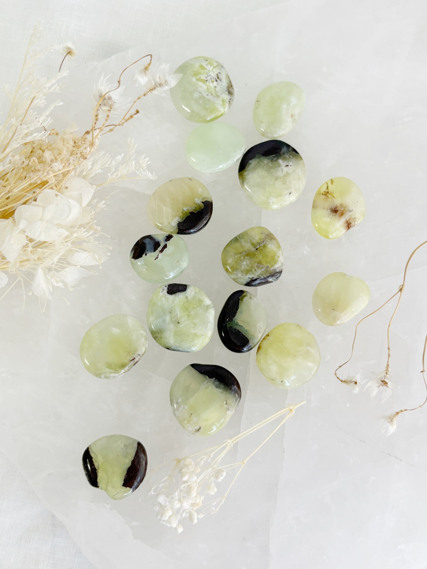 PREHNITE MINI FLATSTONE || INTUITIVELY CHOSEN
