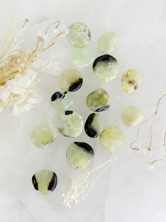 PREHNITE MINI FLATSTONE || INTUITIVELY CHOSEN