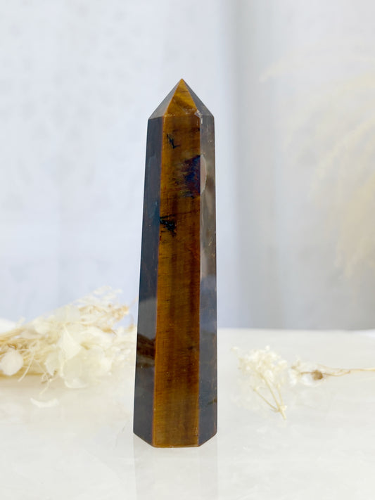 TIGERS EYE GENERATOR || TEG07