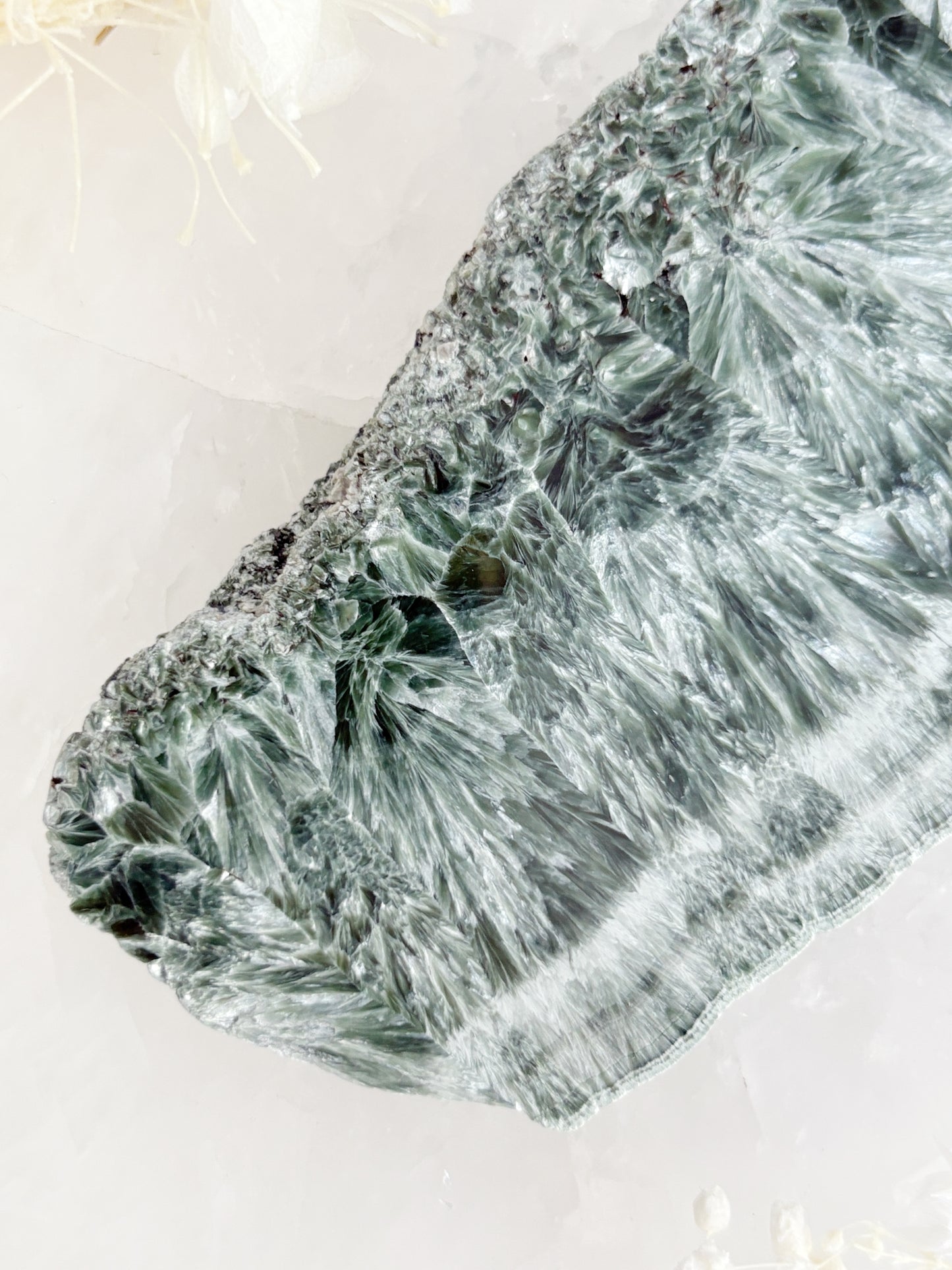 SERAPHINITE SLICE || SPS001