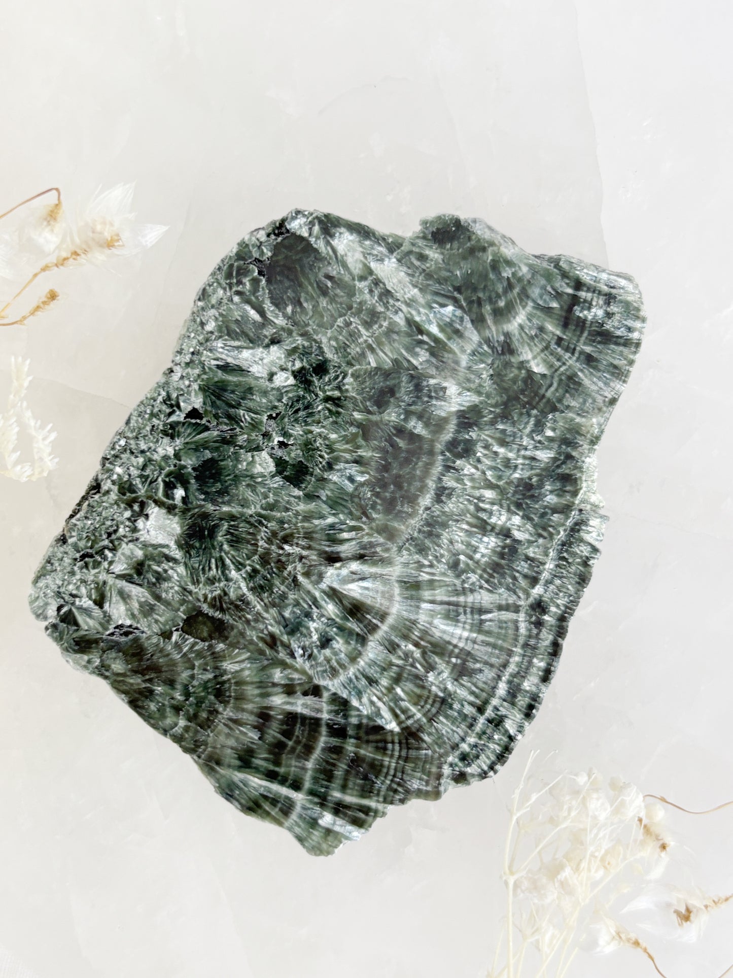 SERAPHINITE SLICE || SPS003