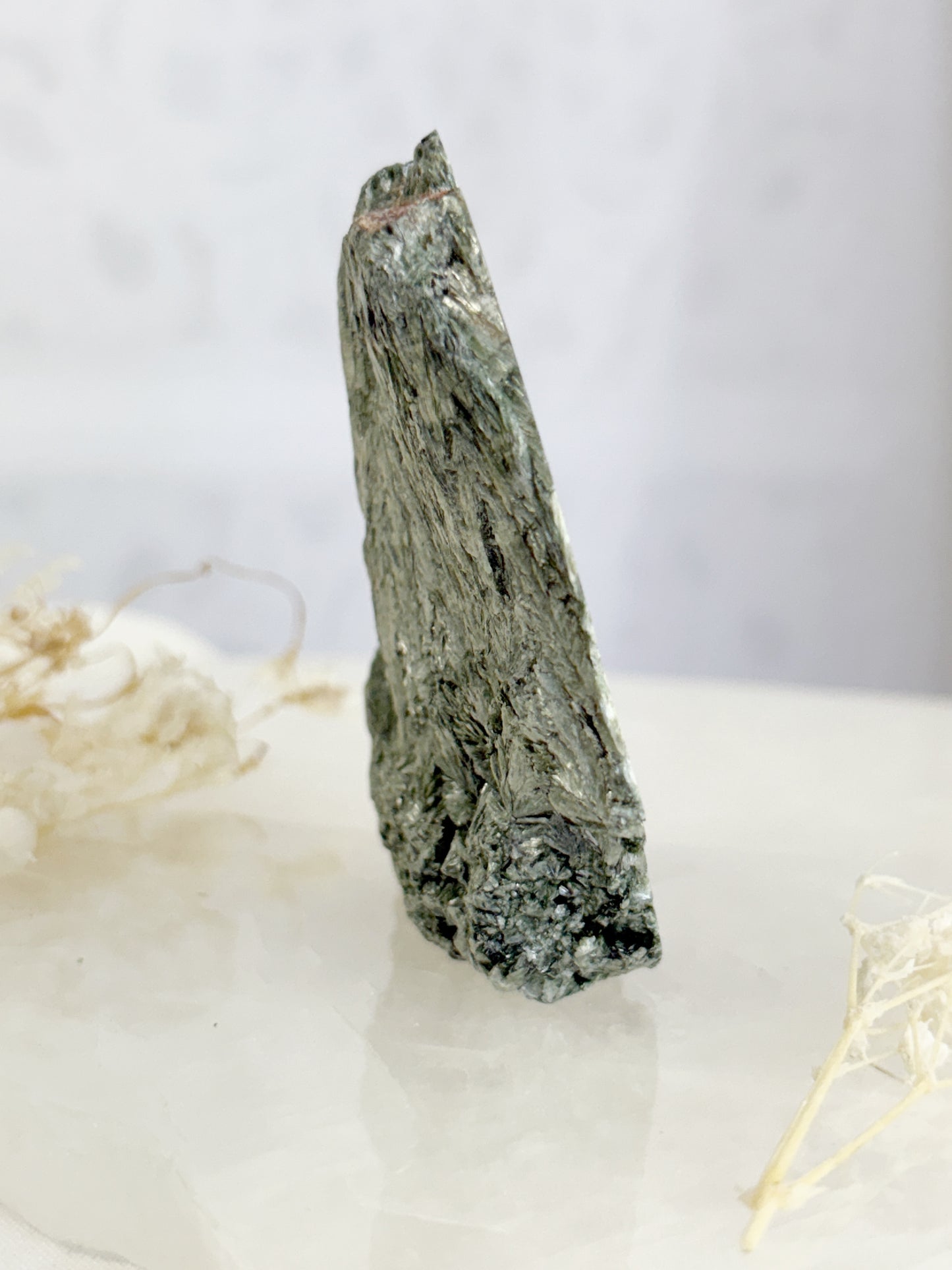 SERAPHINITE SLICE || SPS005