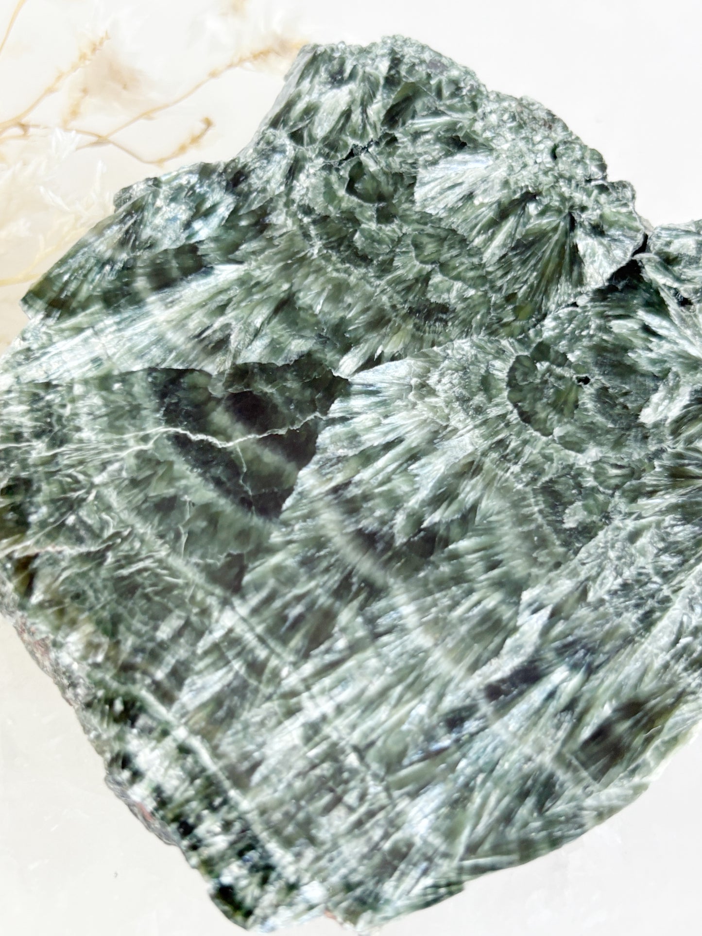 SERAPHINITE SLICE || SPS005