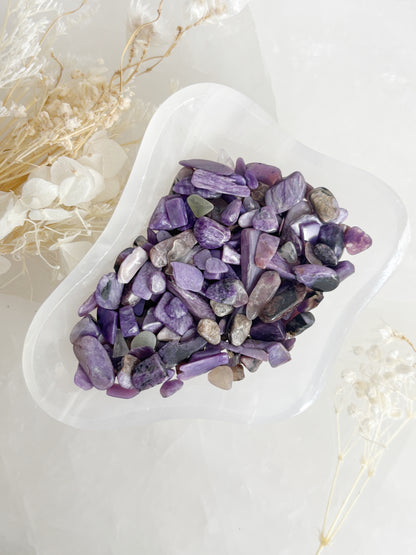 CHAROITE CHIPS || 100G